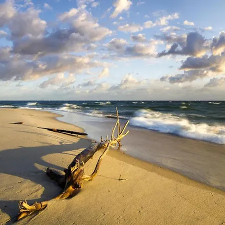 Apartament In Near Baltic Sea