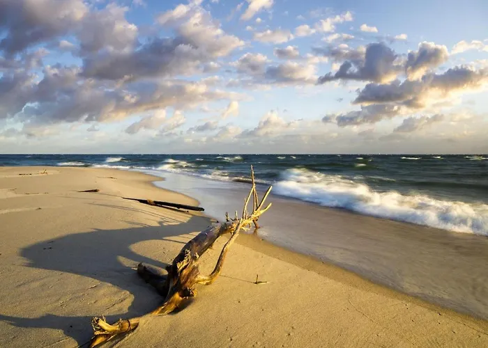 アパート In Near Baltic Sea